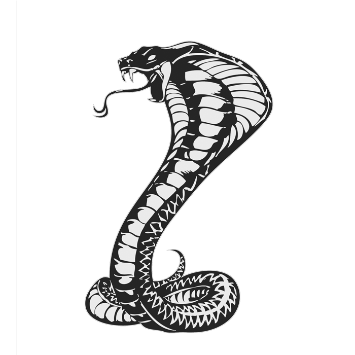 700x700 Download Cobras King Cobra Snakes Tattoo Snake Drawing Hq Png