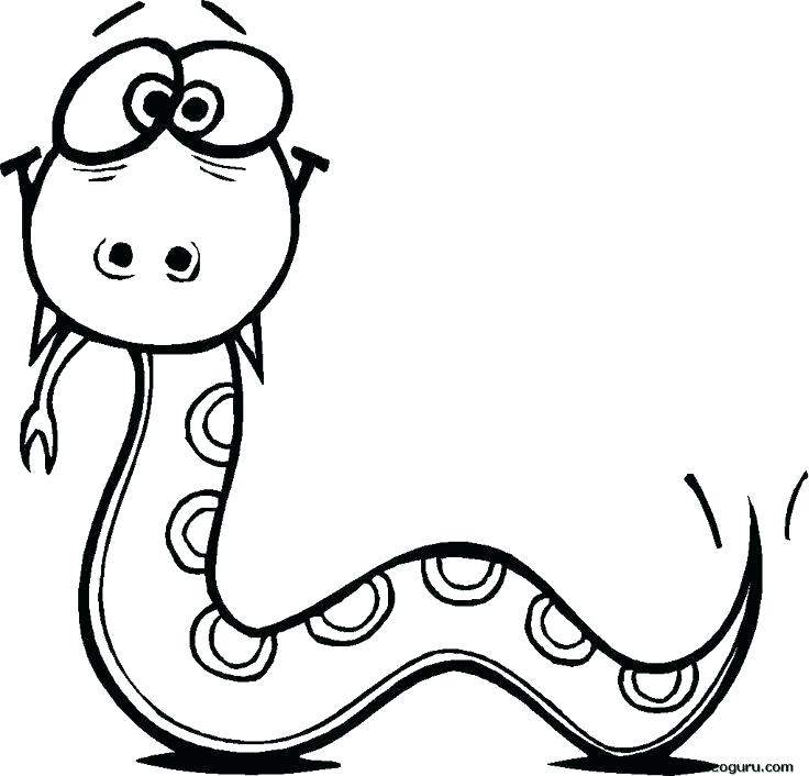 736x706 Drawn Snake How To Draw A Cartoon Snake Step Drawn Snake Step