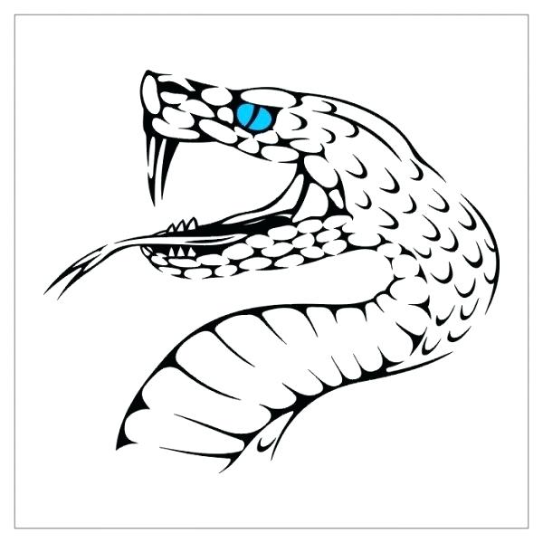 600x600 How To Draw A Snake Tongue Drawing Snake Heads Draw Snake Tongue