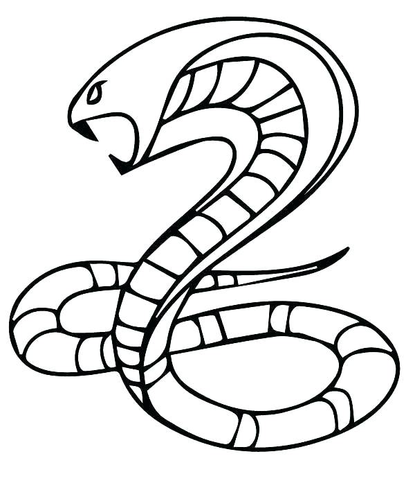 600x707 Cobra Snake Drawing Zupa
