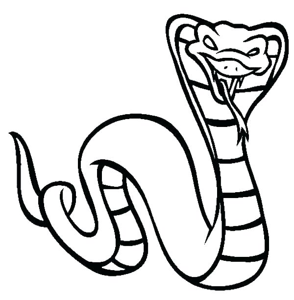 600x612 Snake Drawings For Kids