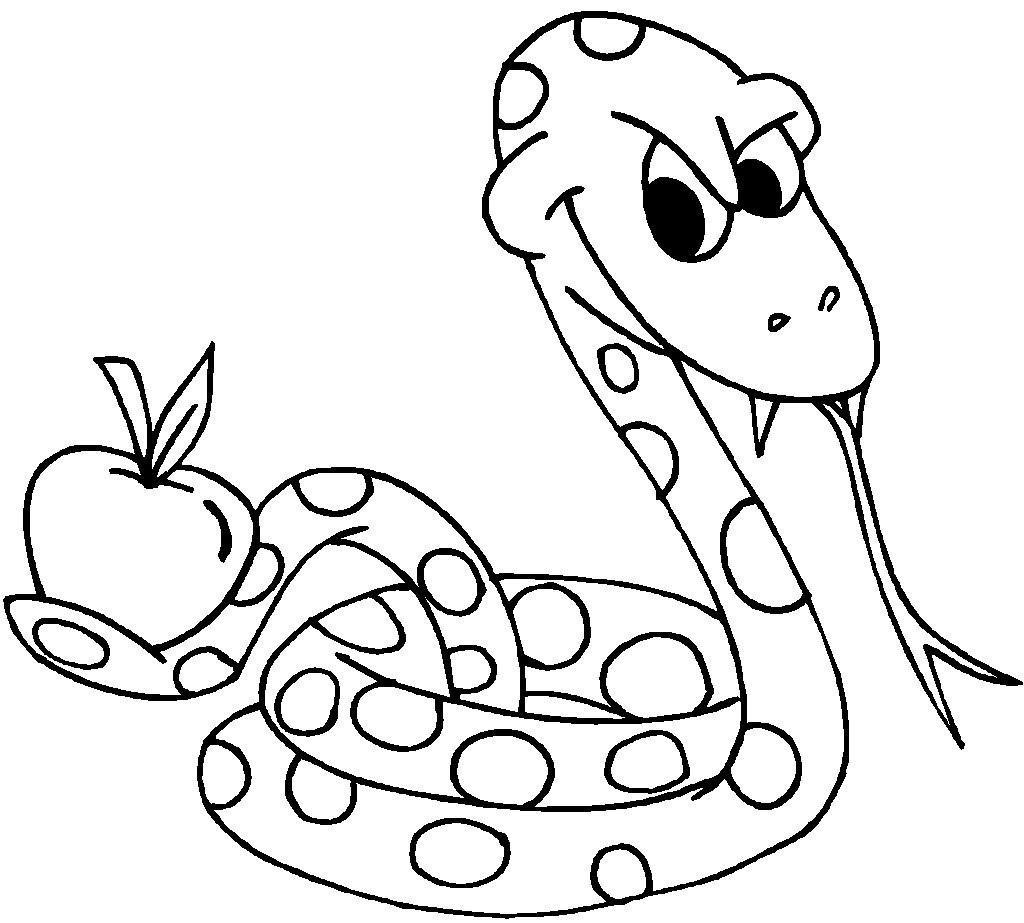 1024x923 Anaconda Snake Clipart Realistic Snakes Drawing Pictures