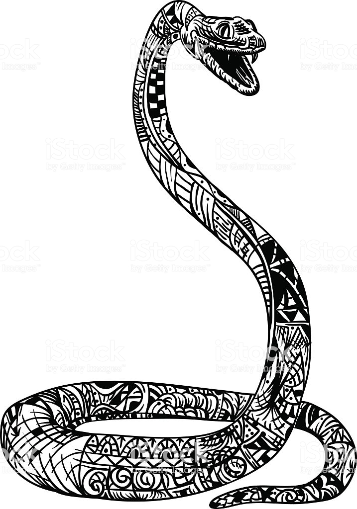 717x1024 Collection Of 'coiled Snake Drawing' Download More Than Images
