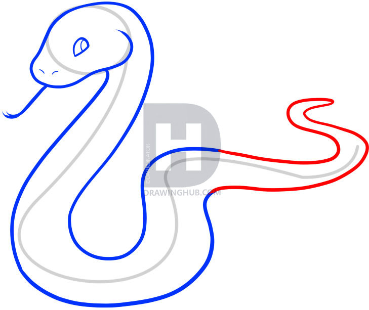 729x613 How To Draw A Snake For Kids, Step