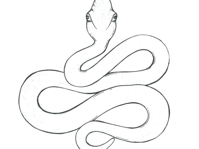 640x480 Snake Draw How To Draw A Snake For Kids Step