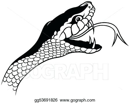 450x357 Snake Head Drawings Snake Head Snake Head Drawing Step