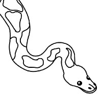 200x200 Drawing Python Snake