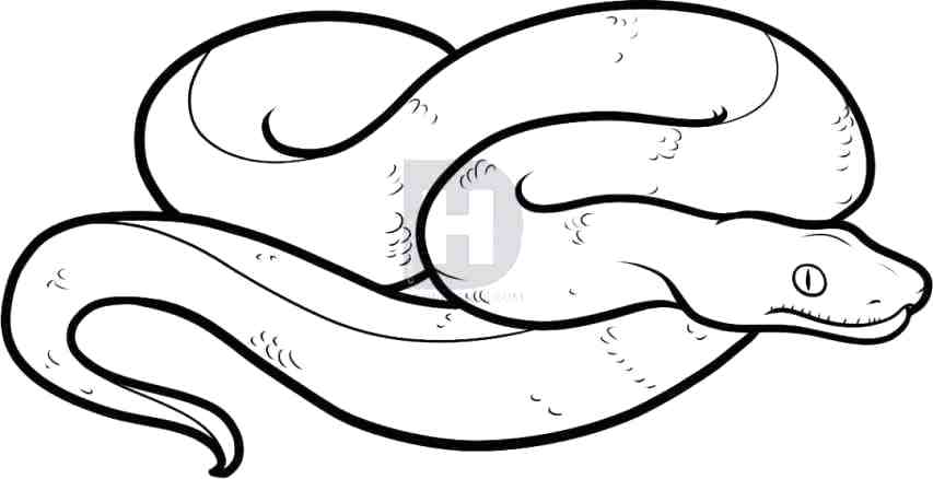 853x438 Easy Snake Drawings Snake Drawing Easy Cobra Snake Drawings