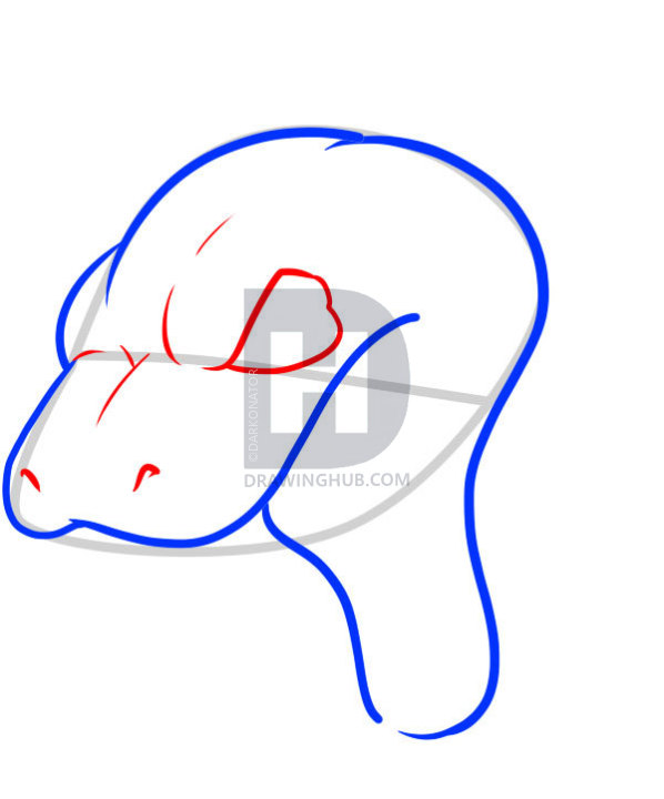 598x720 How To Draw A Snake Head, Draw Snake Heads, Step