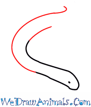 300x350 How To Draw A Snake