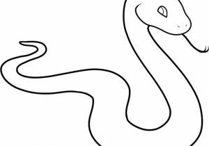 300x210 Snake Drawing Step