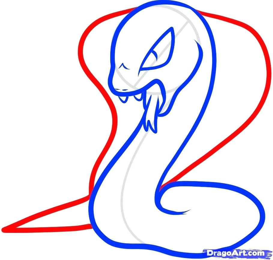 909x864 Draw King Cobra