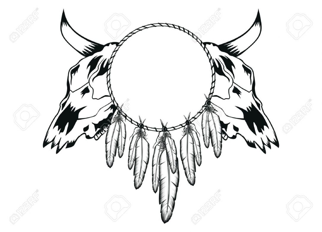 1084x781 Longhorn Bull Skull Drawing Video Tutorial Head Art Anatomy