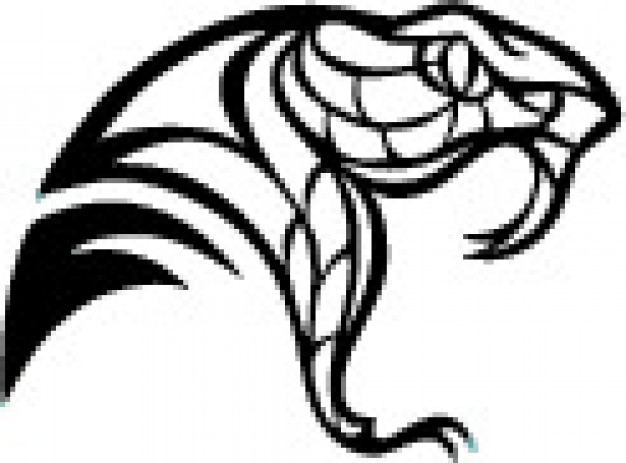 626x463 Snake Head Vectors, Photos And Free Download