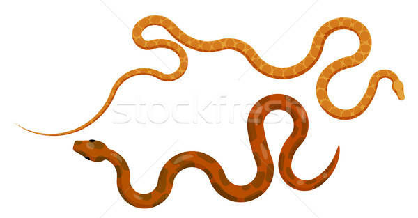 600x313 Python Stock Photos, Stock Images And Vectors Stockfresh