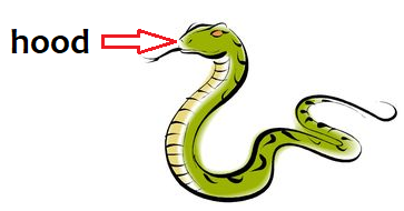 363x190 The Snake And The Mirror, Class Cbse English Lesson Explanation