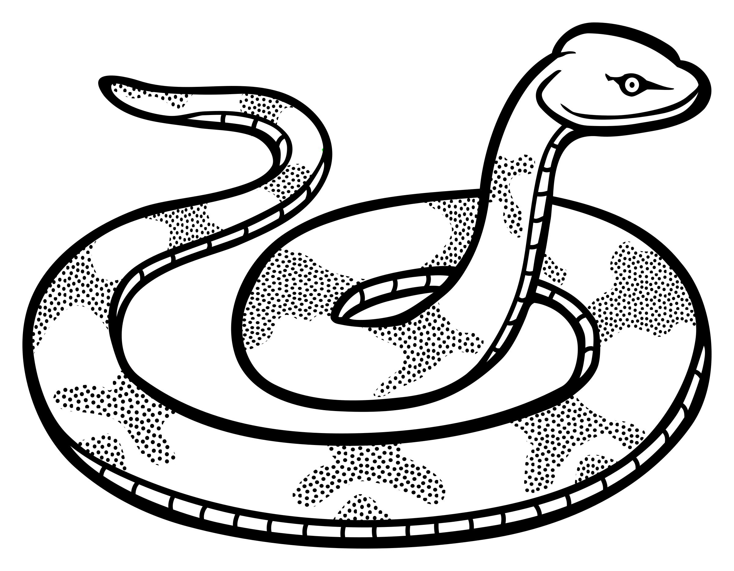 Snake Outline Drawing