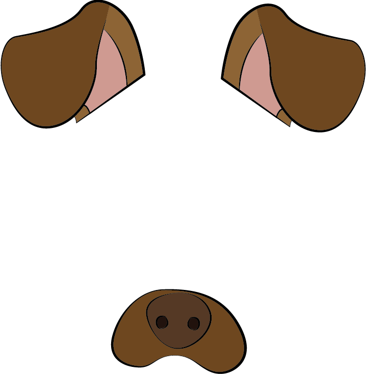 718x734 How To Apply Computer Vision To Build An Emotion Based Dog Filter