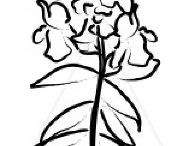 640x480 Free Snapdragon Clipart, Download Free Clip Art