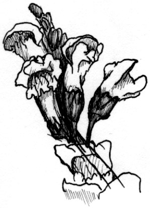 298x413 Redd Studios