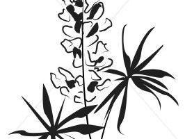 266x200 Snapdragon Clipart Clipart Station