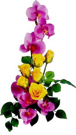 260x460 Flower, Nose, Hand, Transparent Png Image Clipart Free Download