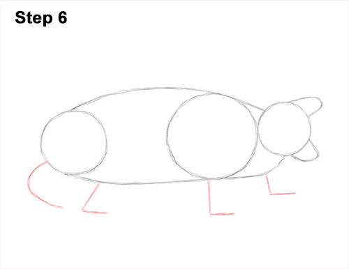 500x386 How To Draw An Alligator Snapping Turtle