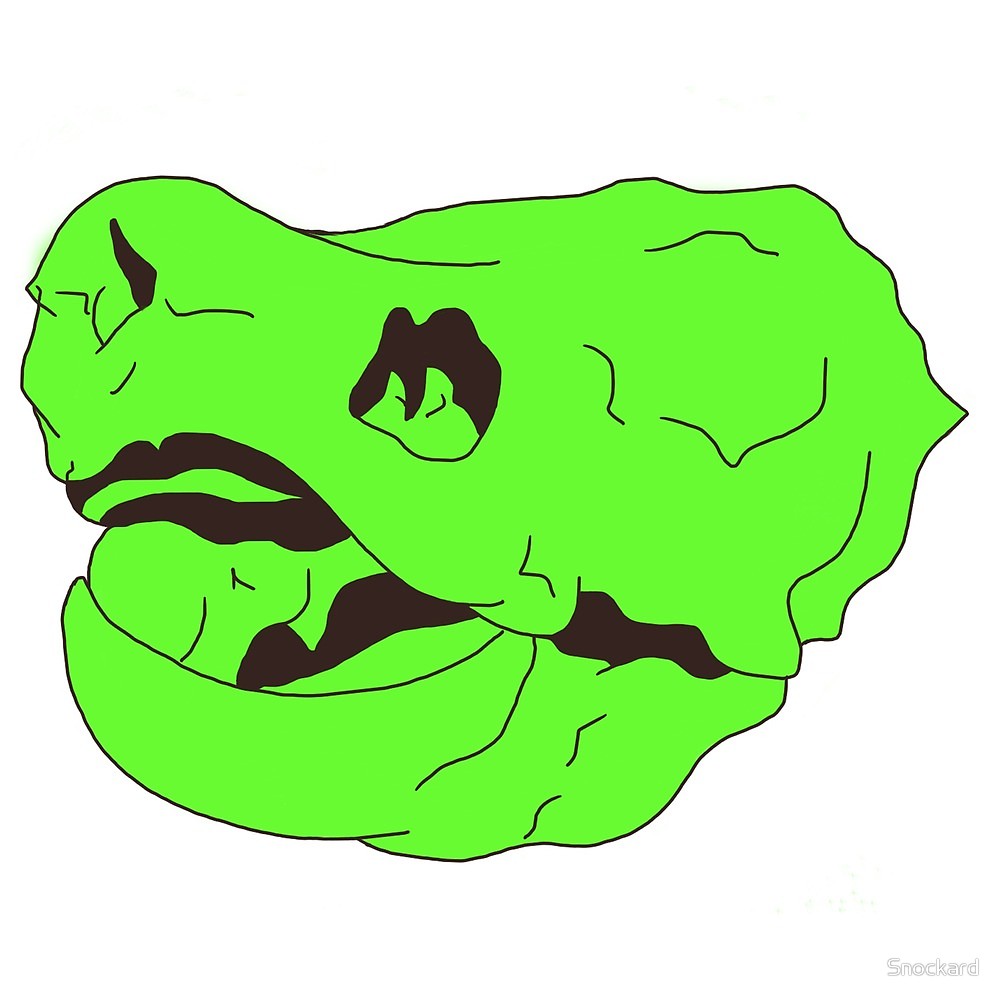 1000x1000 Snapping Turtle Skull Digital Drawing