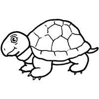 200x200 Snapping Turtle Coloring Pages Surfnetkids