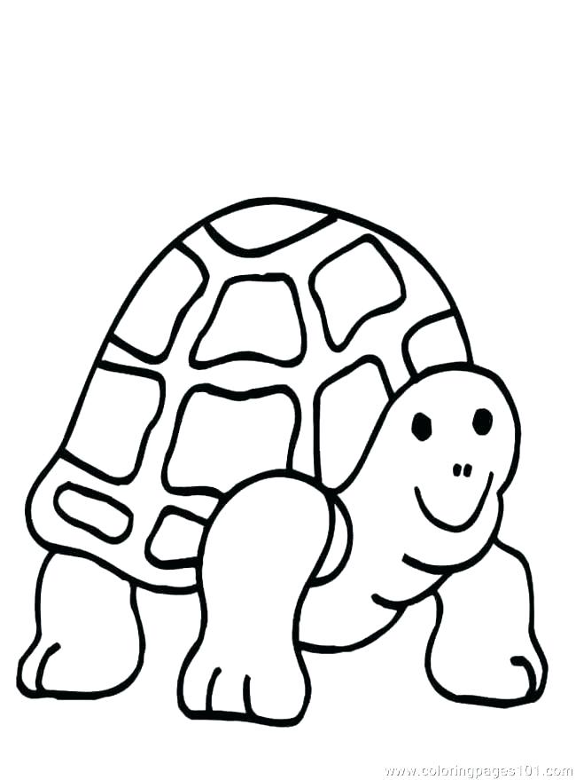 Snapping Turtle Drawing | Free download on ClipArtMag