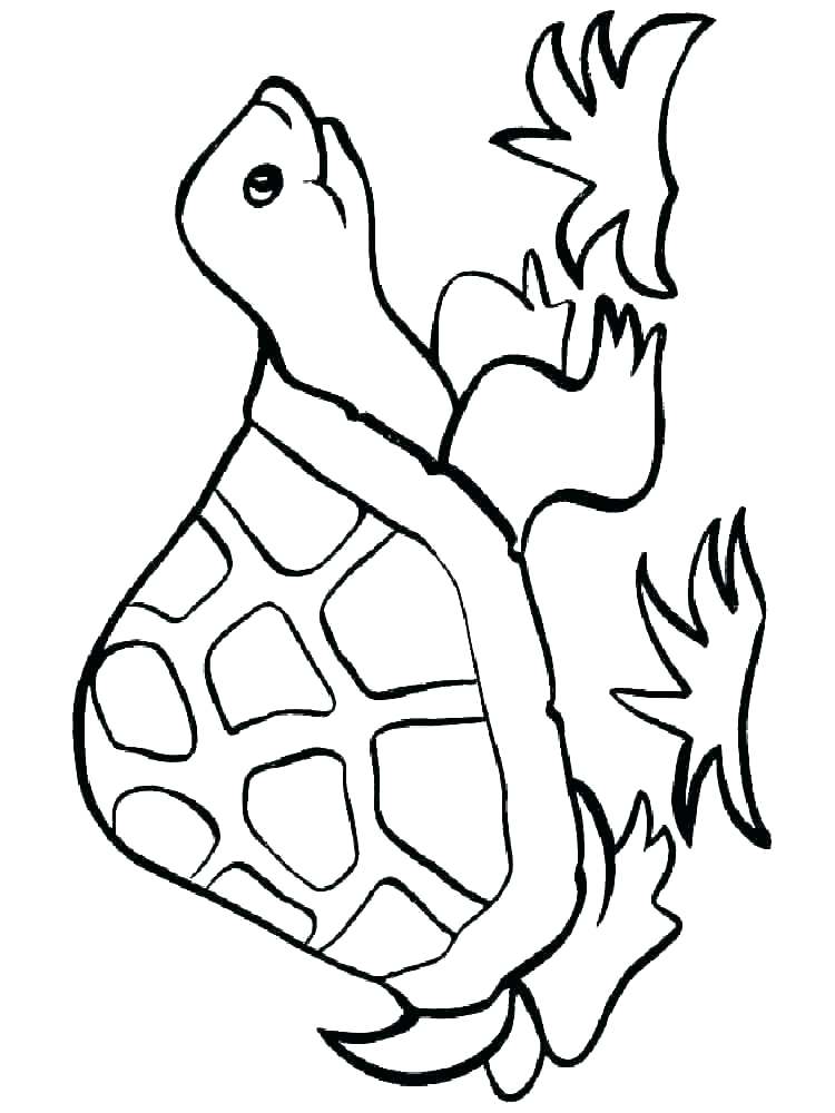 Snapping Turtle Drawing | Free download on ClipArtMag