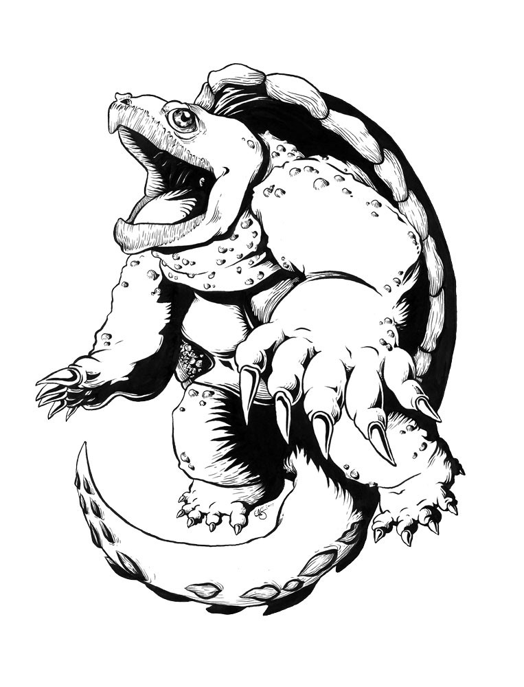 Snapping Turtle Drawing Free Download On ClipArtMag.