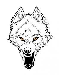 198x254 image result for diy pencil drawings of snarling wolves canvas