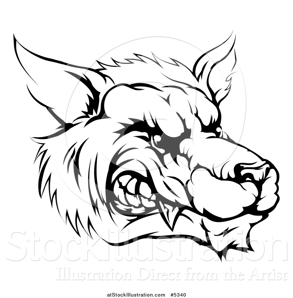 1024x1044 vector illustration of a black and white snarling aggressive wolf
