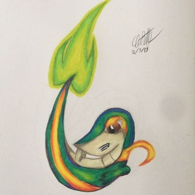 640x640 Leaf Blade Snivy Drawing Amino