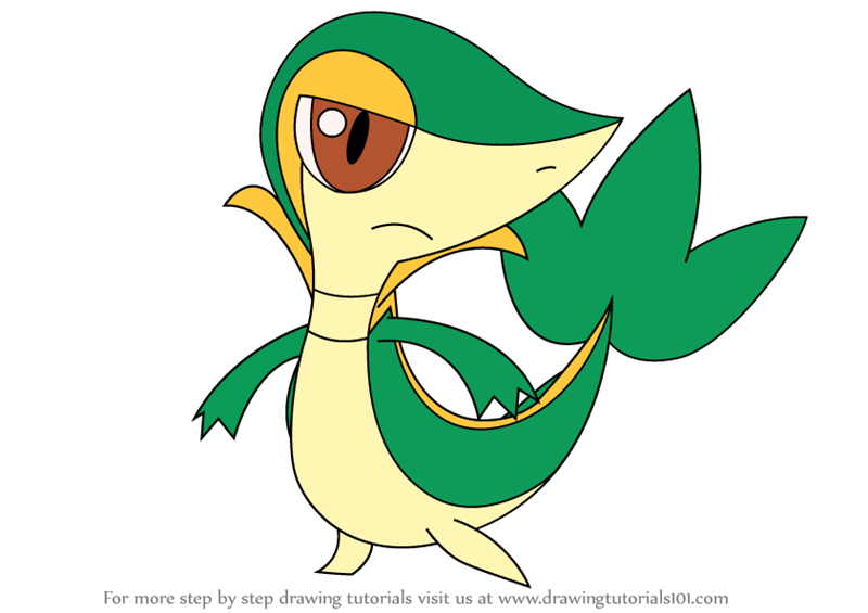 800x565 Learn How To Draw Snivy From Pokemon