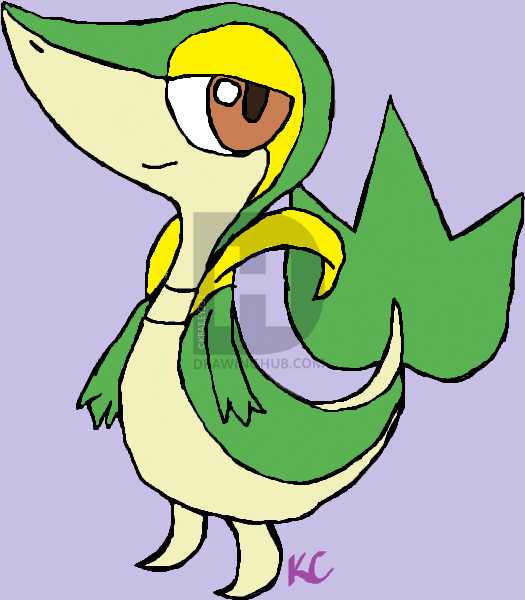 525x600 Snivy Drawing