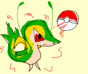 300x250 Snivy