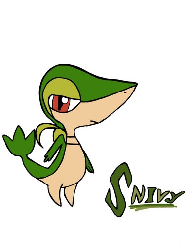 375x500 Drawing Snivy