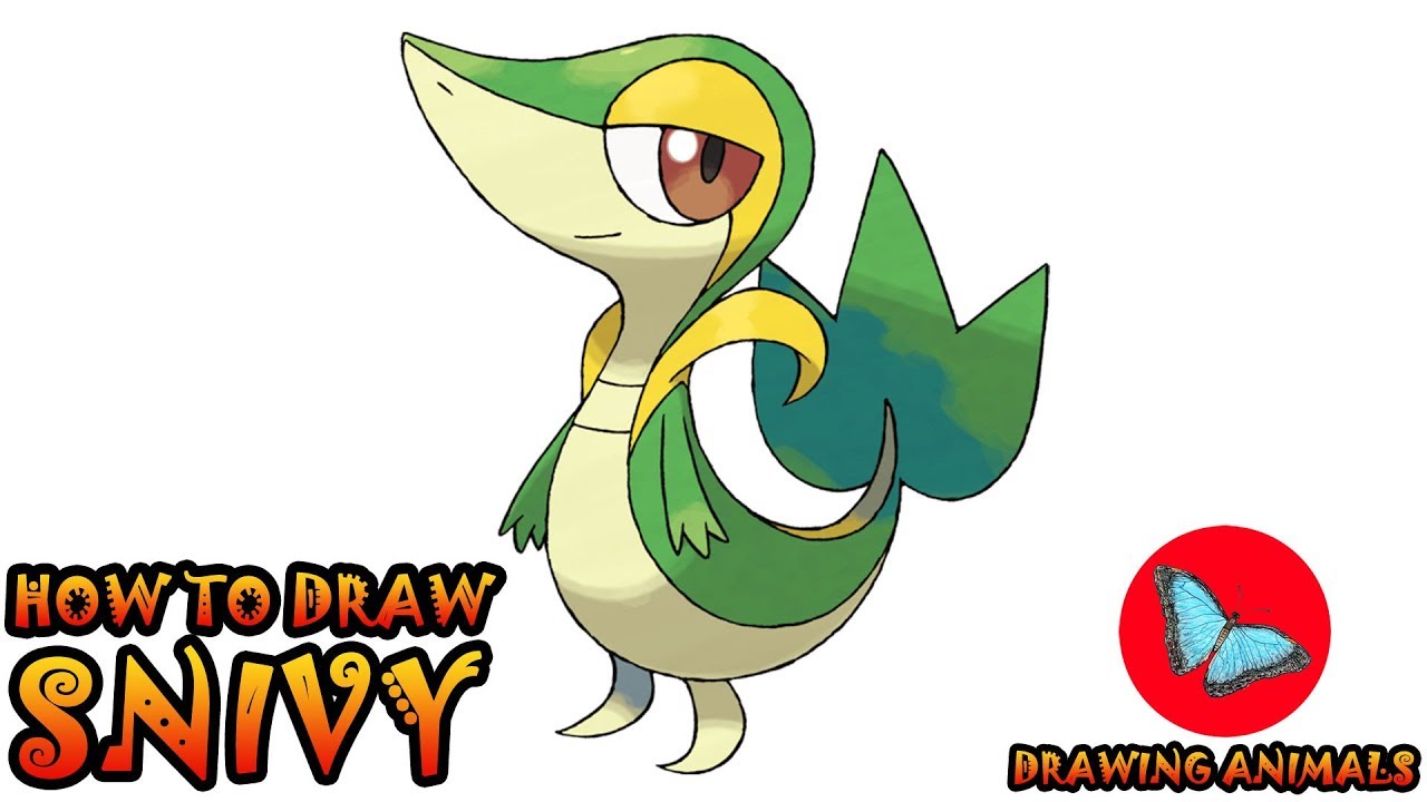 1280x720 How To Draw Snivy Pokemon Drawing Animals