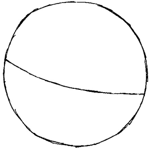 300x301 How To Draw Snivy From With Easy Step