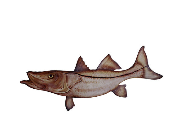 600x450 snook fish art