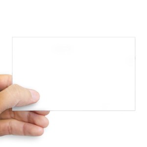 300x300 snook rectangle stickers