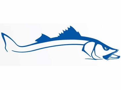 420x314 steelfin snook decals tackledirect