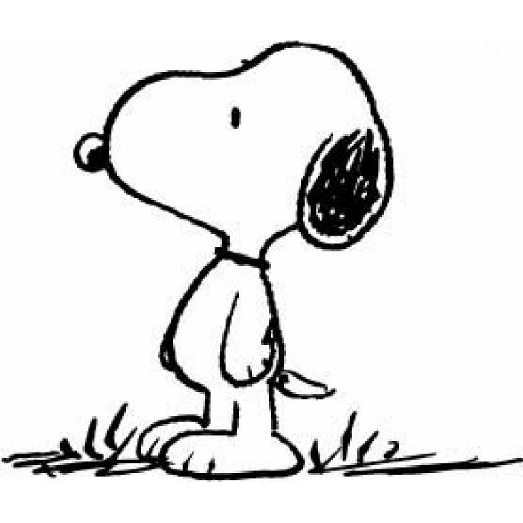 736x736 Snoopy Peanuts Wiki Fandom Powered