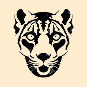 300x300 Best Snow Leopard Head Face Vector Illustration Style Flat Drawing
