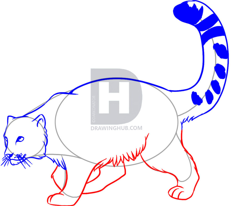 826x720 How To Draw A Snow Leopard, Step