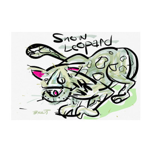 300x300 Snow Leopard Drawing