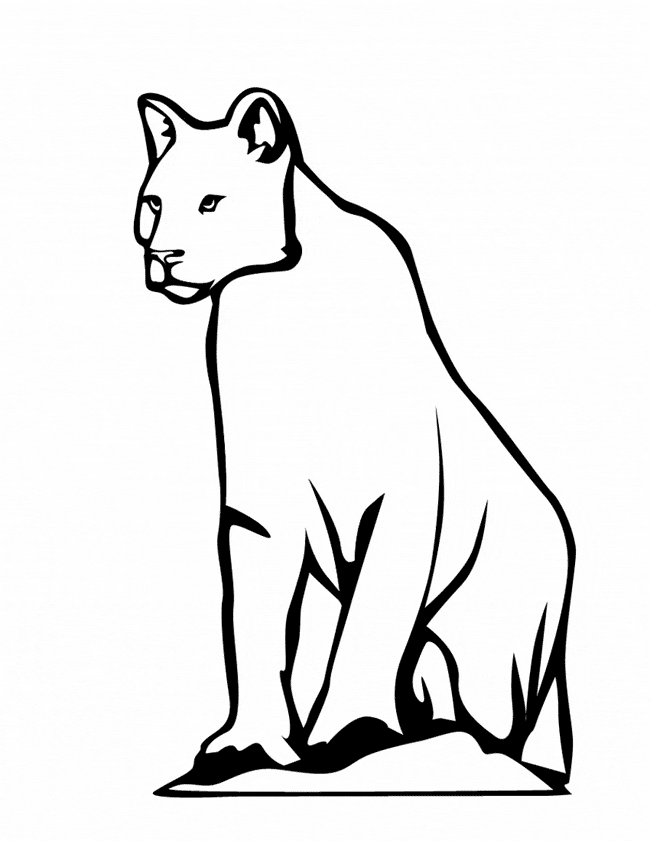 650x841 Snow Leopard Coloring Page