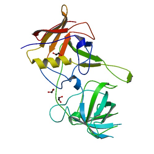 500x500 Rcsb Pdb